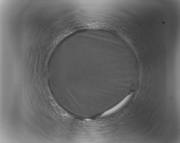 X0000085810673200703301526