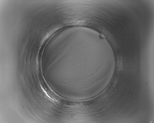 X0000085810674200703301526