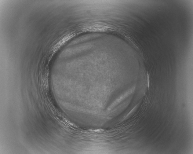 X0000085810675200703301526