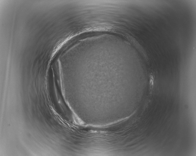 X0000085810676200703301526