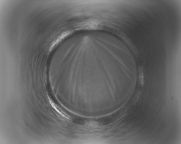 X0000085810677200703301526