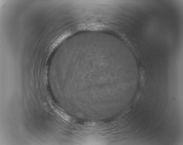 X0000085810679200703301526