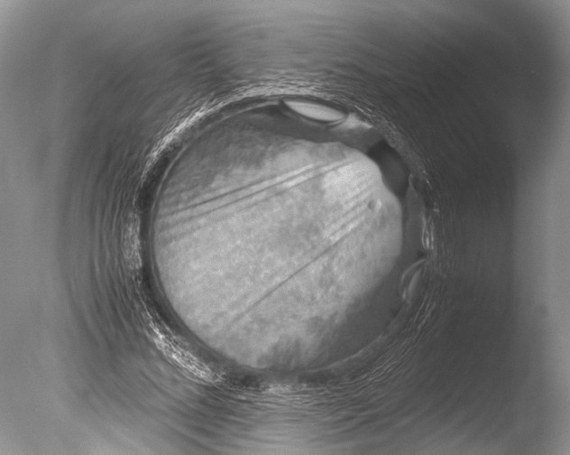 X0000085810684200703301526