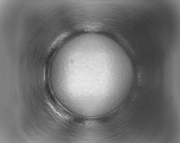 X0000085810686200703301526