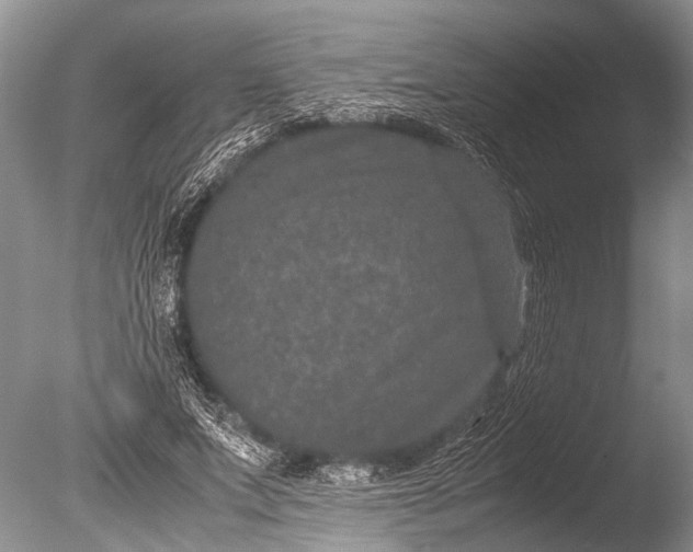 X0000085810687200703301526