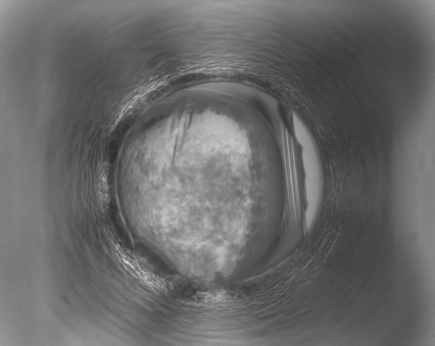 X0000085810688200703301526