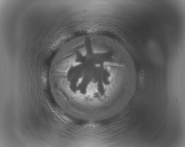 X0000085810691200703301525