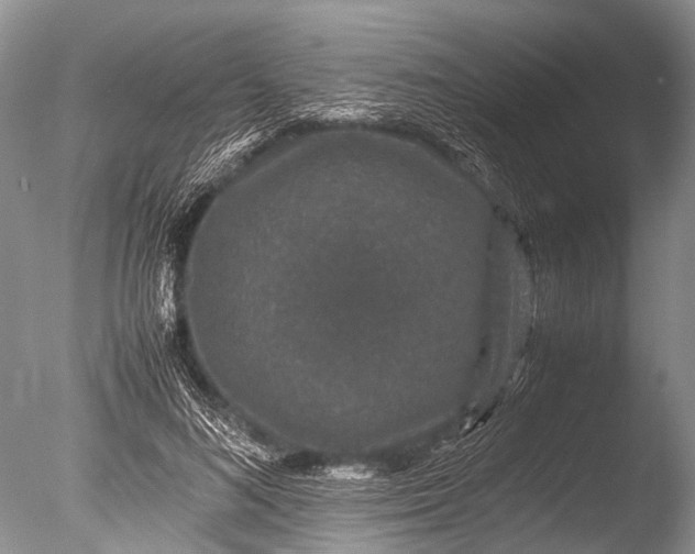 X0000085810692200703301525