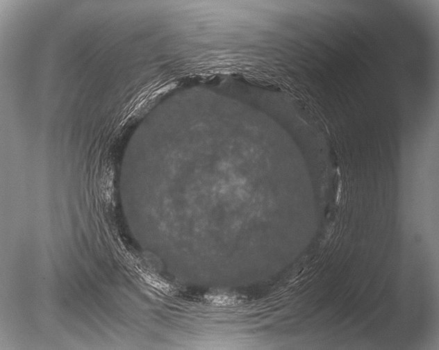 X0000085810693200703301525