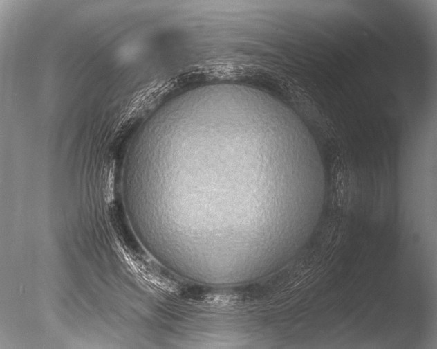 X0000085810694200703301525