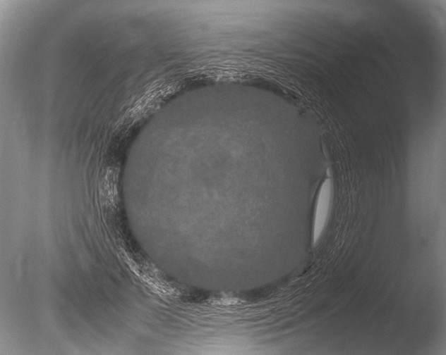 X0000085810695200703301525