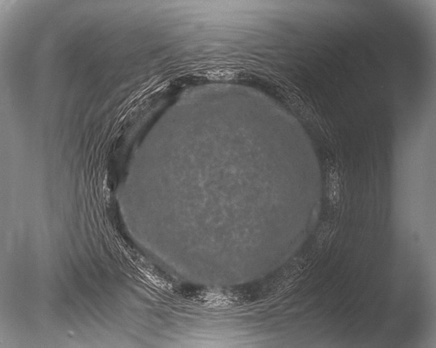 X0000085810697200703301525