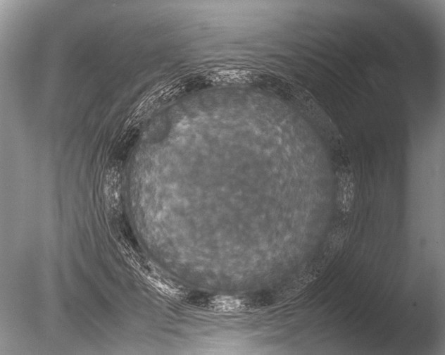 X0000085810701200703301525