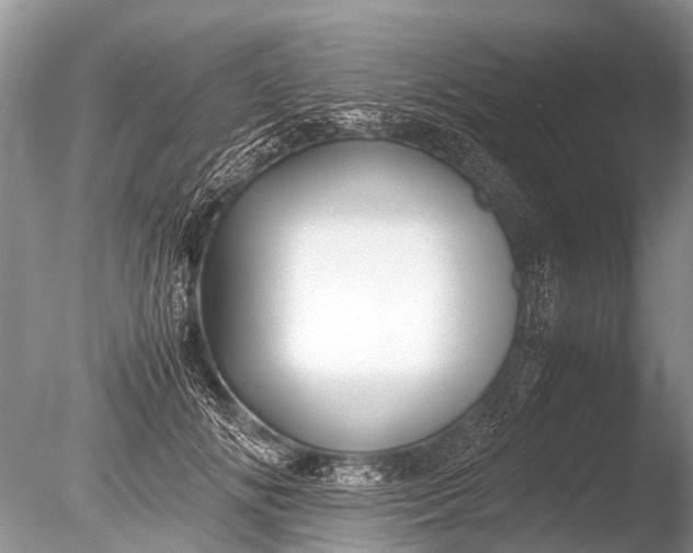 X0000085810702200703301525