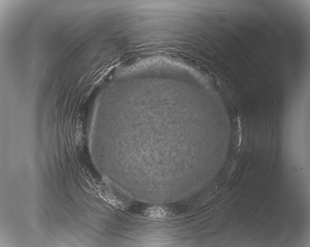 X0000085810704200703301525