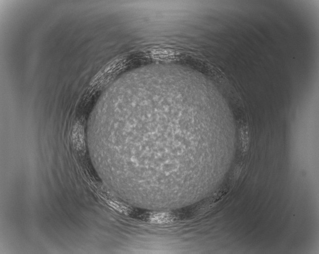 X0000085810705200703301525