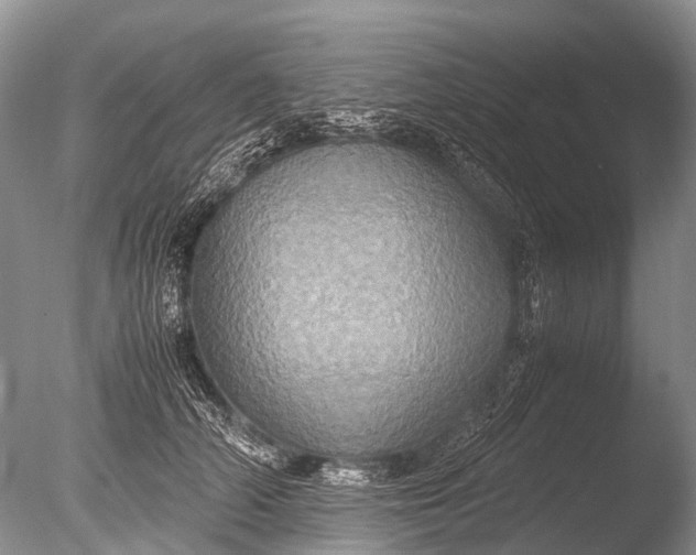 X0000085810706200703301525