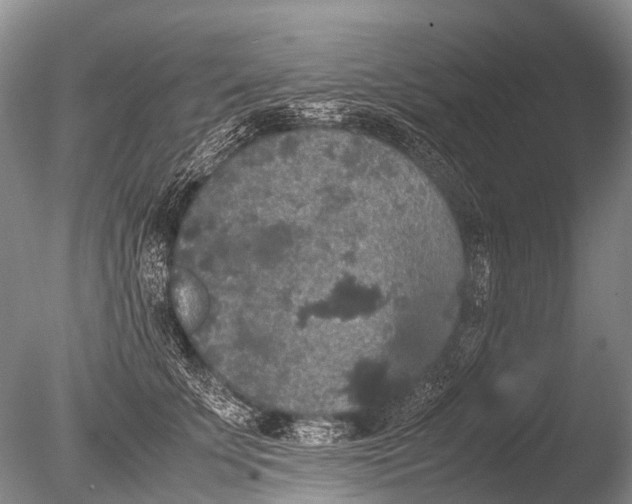 X0000085810707200703301525