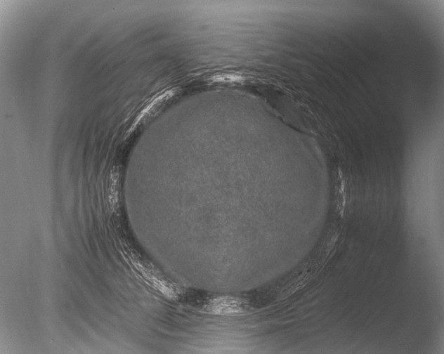 X0000085810708200703301525