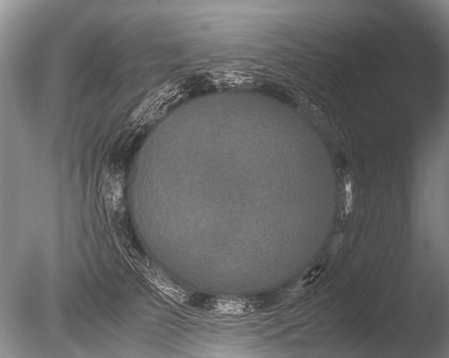 X0000085810709200703301525