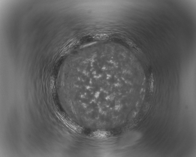 X0000085810711200703301525