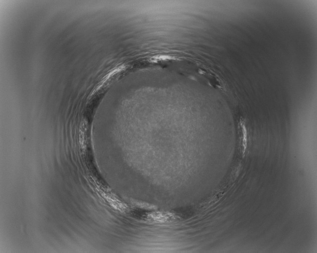 X0000085810712200703301525