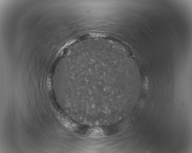 X0000085810715200703301525