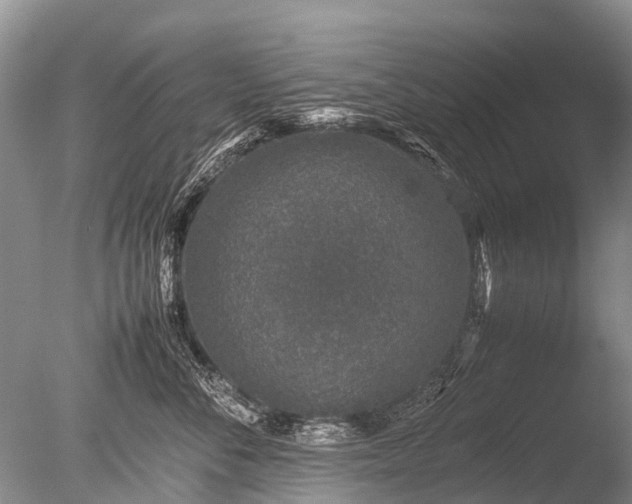 X0000085810716200703301525