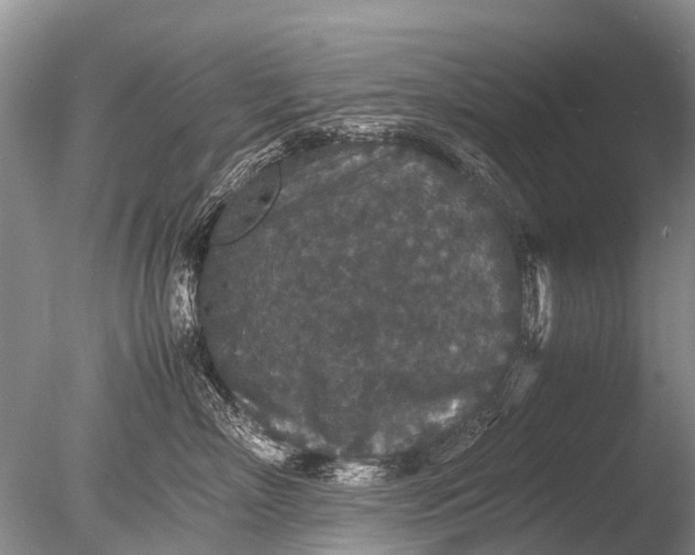 X0000085810718200703301525