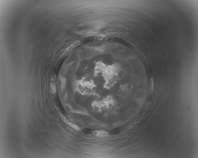 X0000085810719200703301525