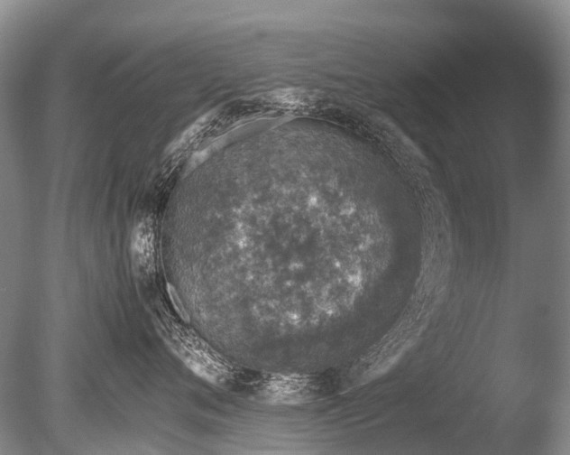 X0000085810720200703301525