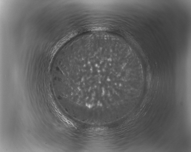 X0000085810721200703301524