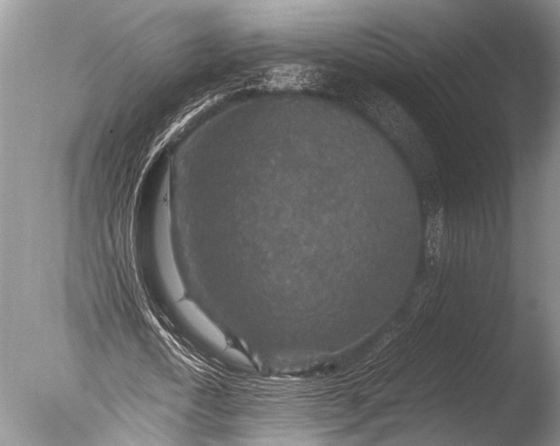 X0000085810722200703301524