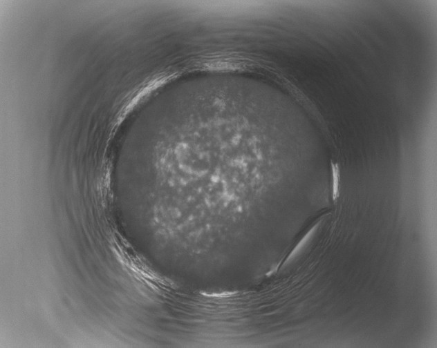 X0000085810723200703301524