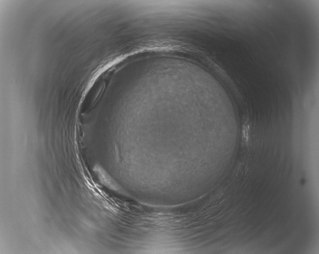 X0000085810724200703301524