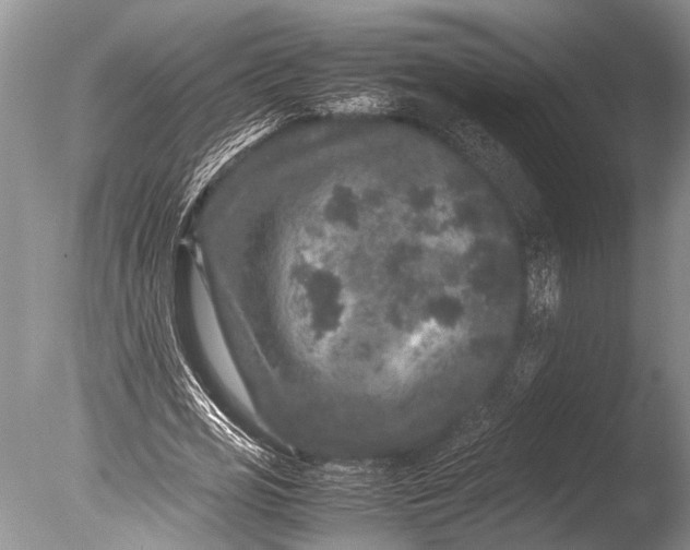 X0000085810725200703301524