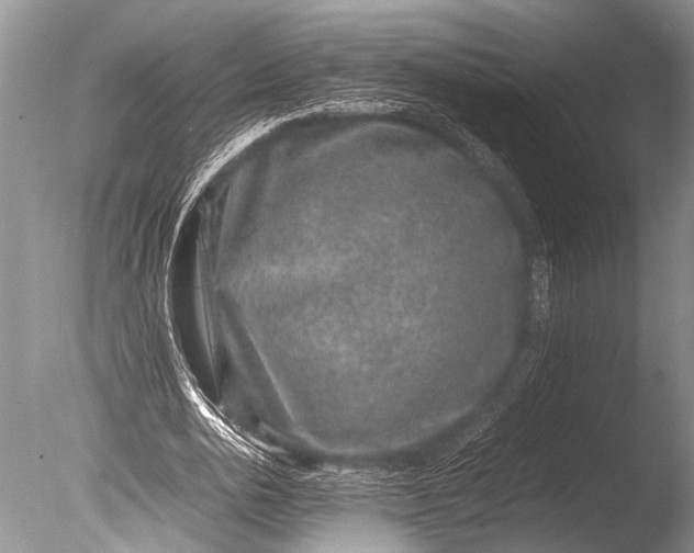 X0000085810726200703301524