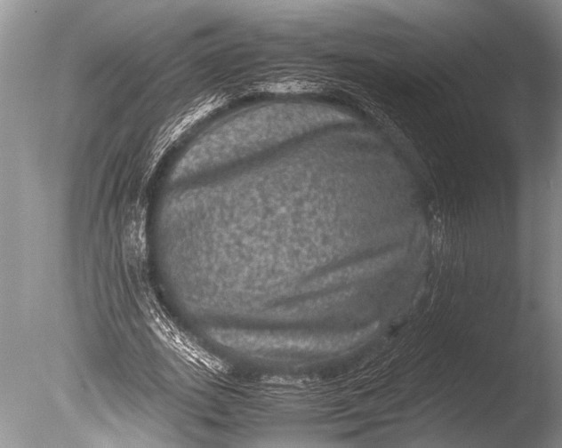 X0000085810727200703301524