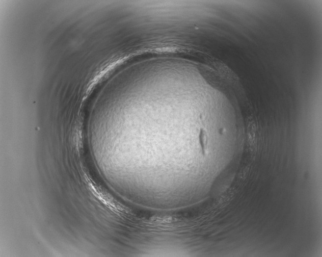 X0000085810728200703301524