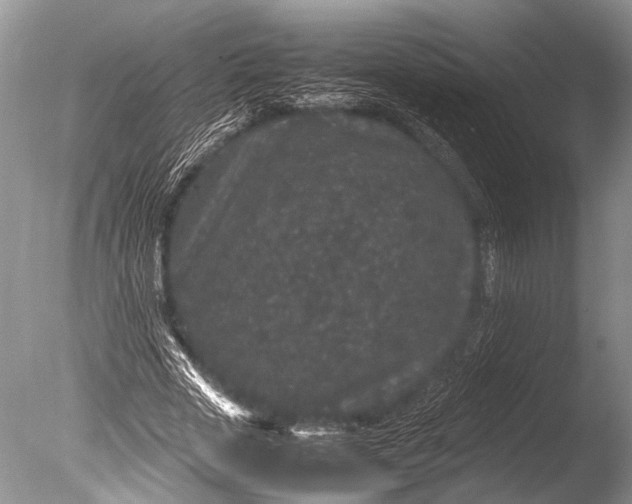 X0000085810729200703301524