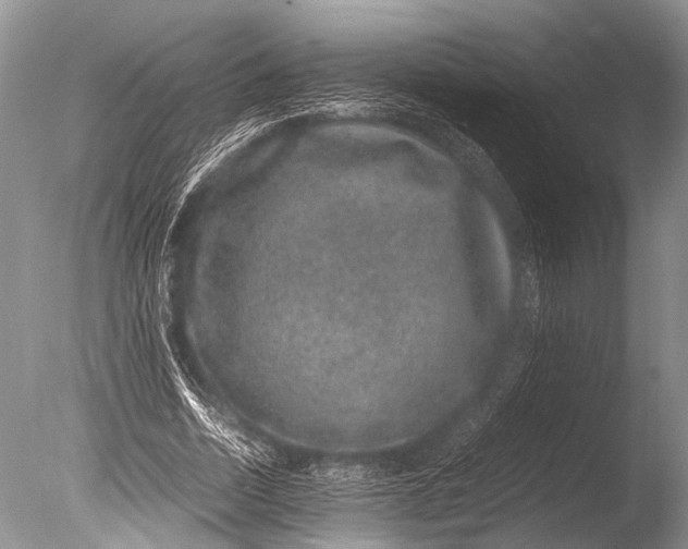 X0000085810730200703301524