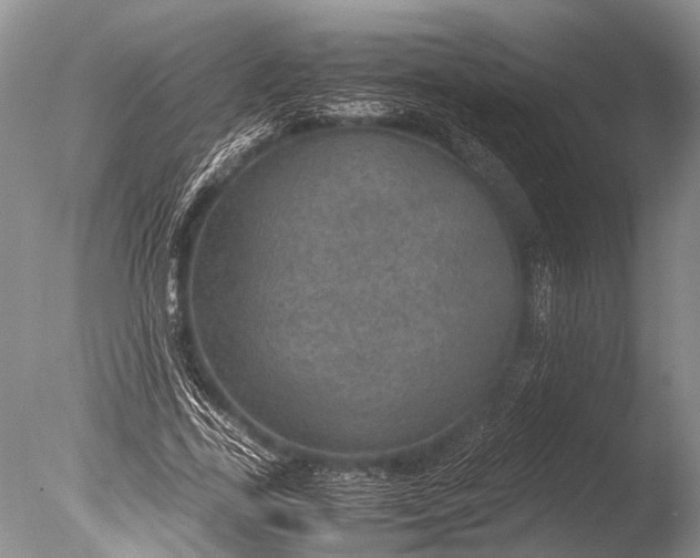 X0000085810731200703301524