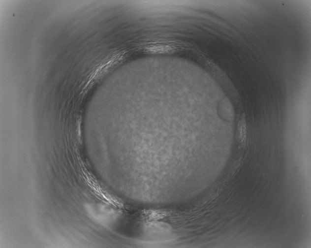 X0000085810733200703301524