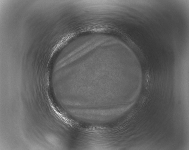 X0000085810734200703301524