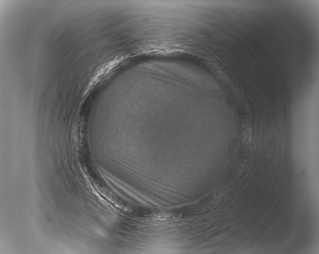 X0000085810736200703301524