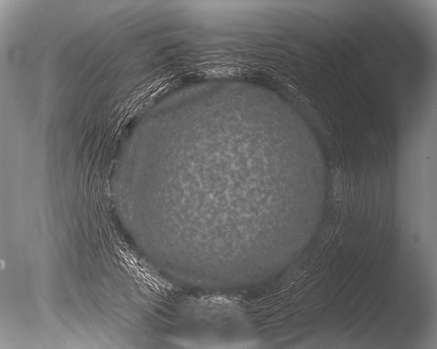 X0000085810737200703301524