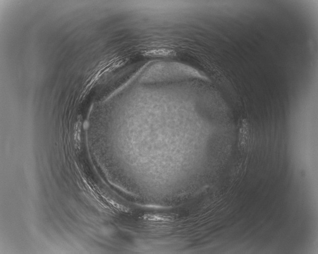 X0000085810739200703301524