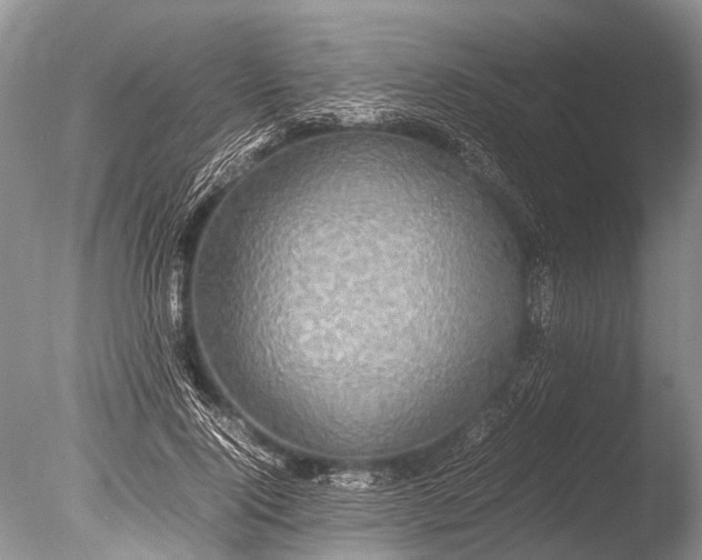 X0000085810740200703301524