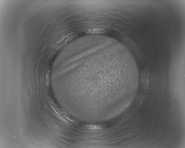 X0000085810741200703301525