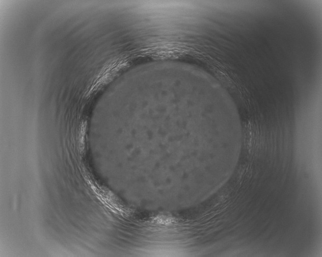 X0000085810742200703301525